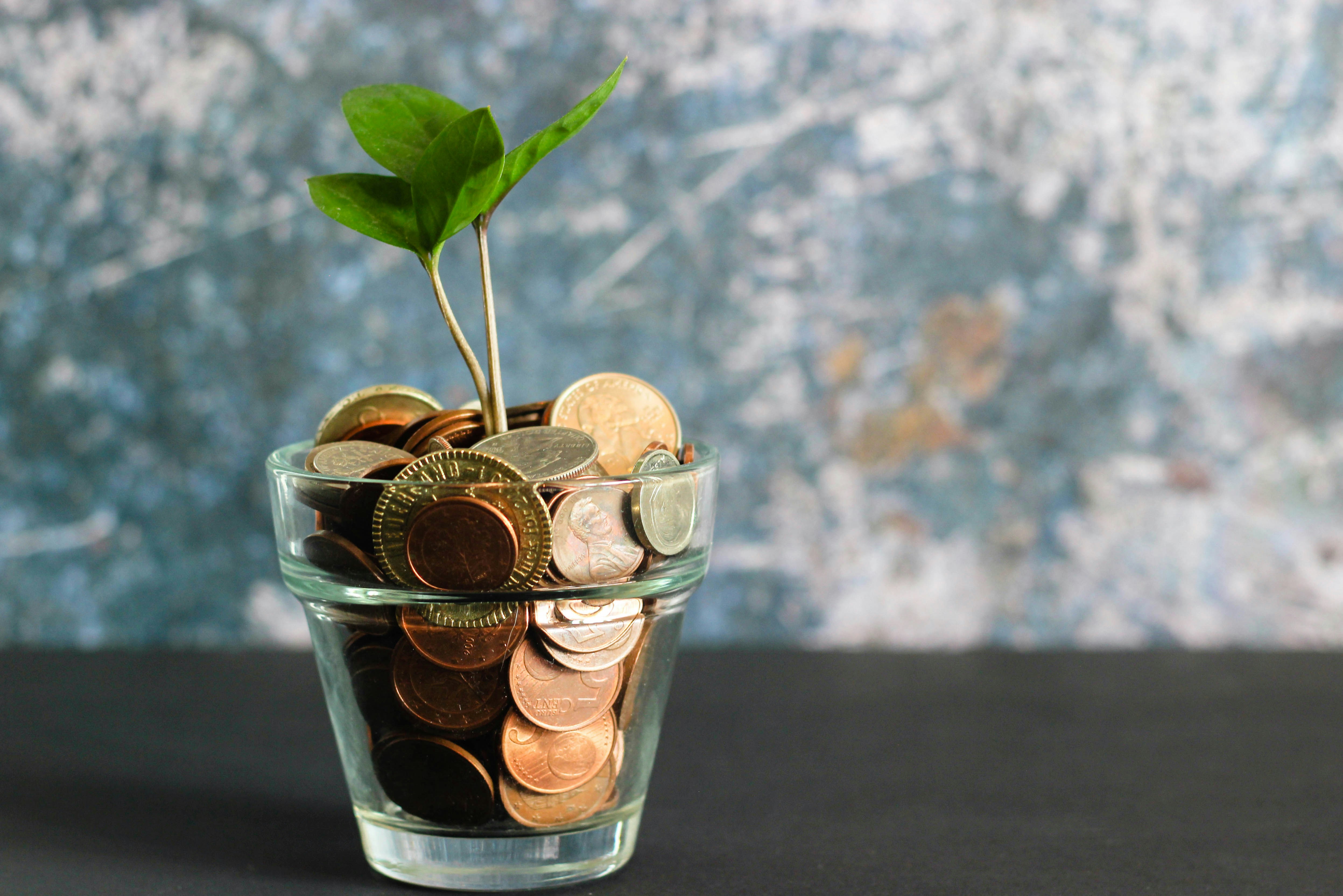 Financial Expertise